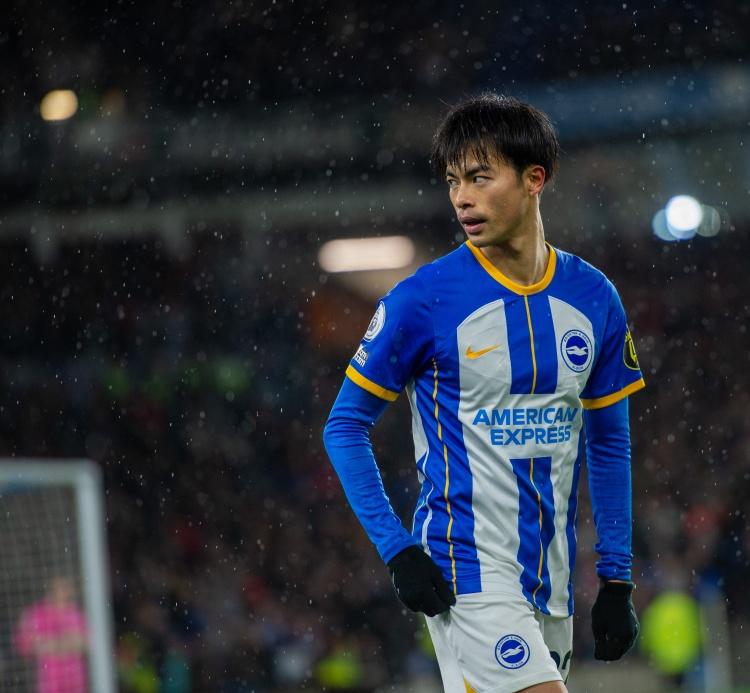 布莱顿球员因伤退出赛季，教练组急寻替补的简单介绍